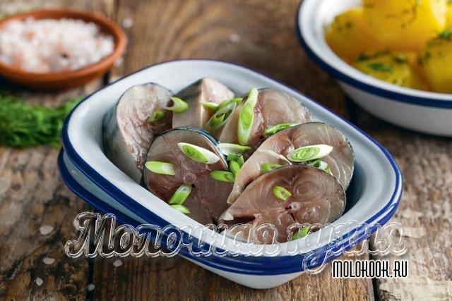 Малосольная скумбрия быстрого приготовления