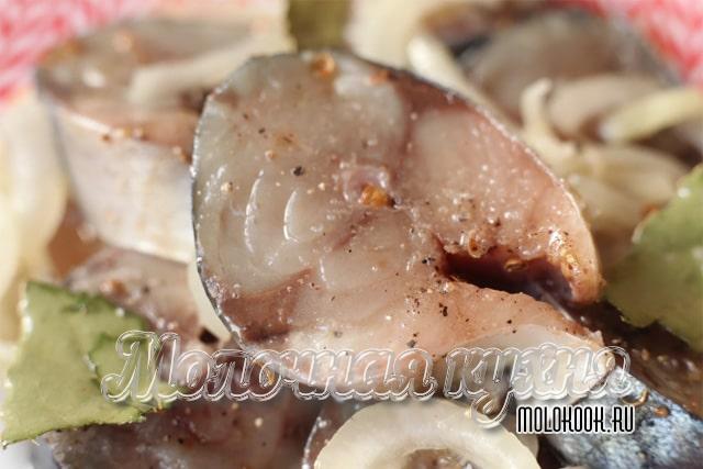 Малосольная скумбрия с луком и лимоном за 8 часов