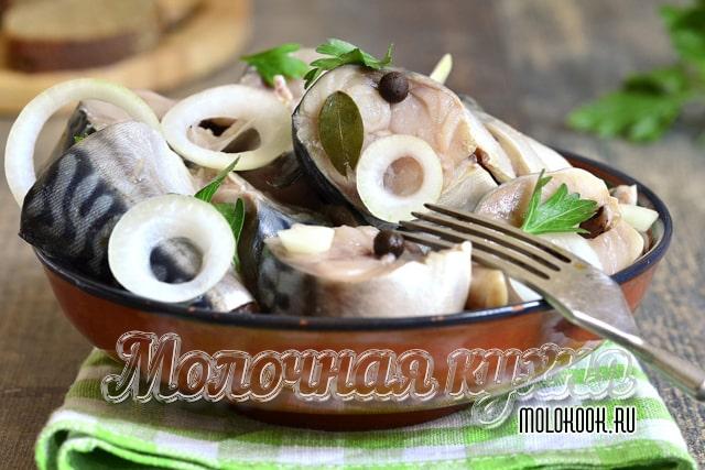 Малосольная скумбрия в рассоле кусочками